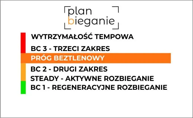 Tętno w bieganiu: Strefy, HRmax spalaj tłuszcz i zwiększaj formę!