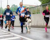 Bieganie z psem (Canicross): Jak zacząć bezpiecznie i efektywnie?