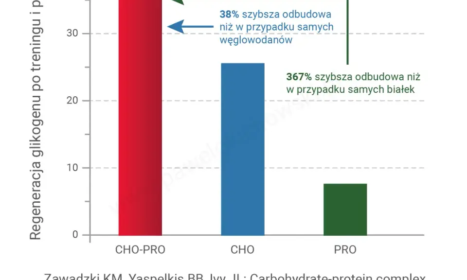 Ile białka po treningu? Ekspert radzi: dawki, okno i źródła