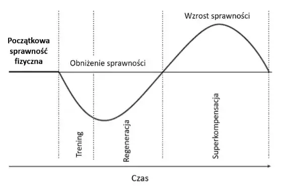 regeneracja po przetrenowaniu plan