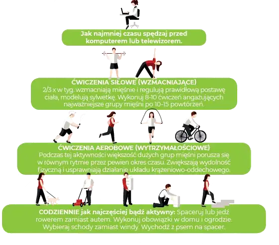 wytyczne WHO aktywność fizyczna infografika