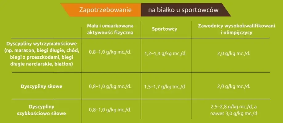 tabela zapotrzebowania białka po treningu
